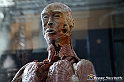 VBS_3031 - Mostra Body Worlds